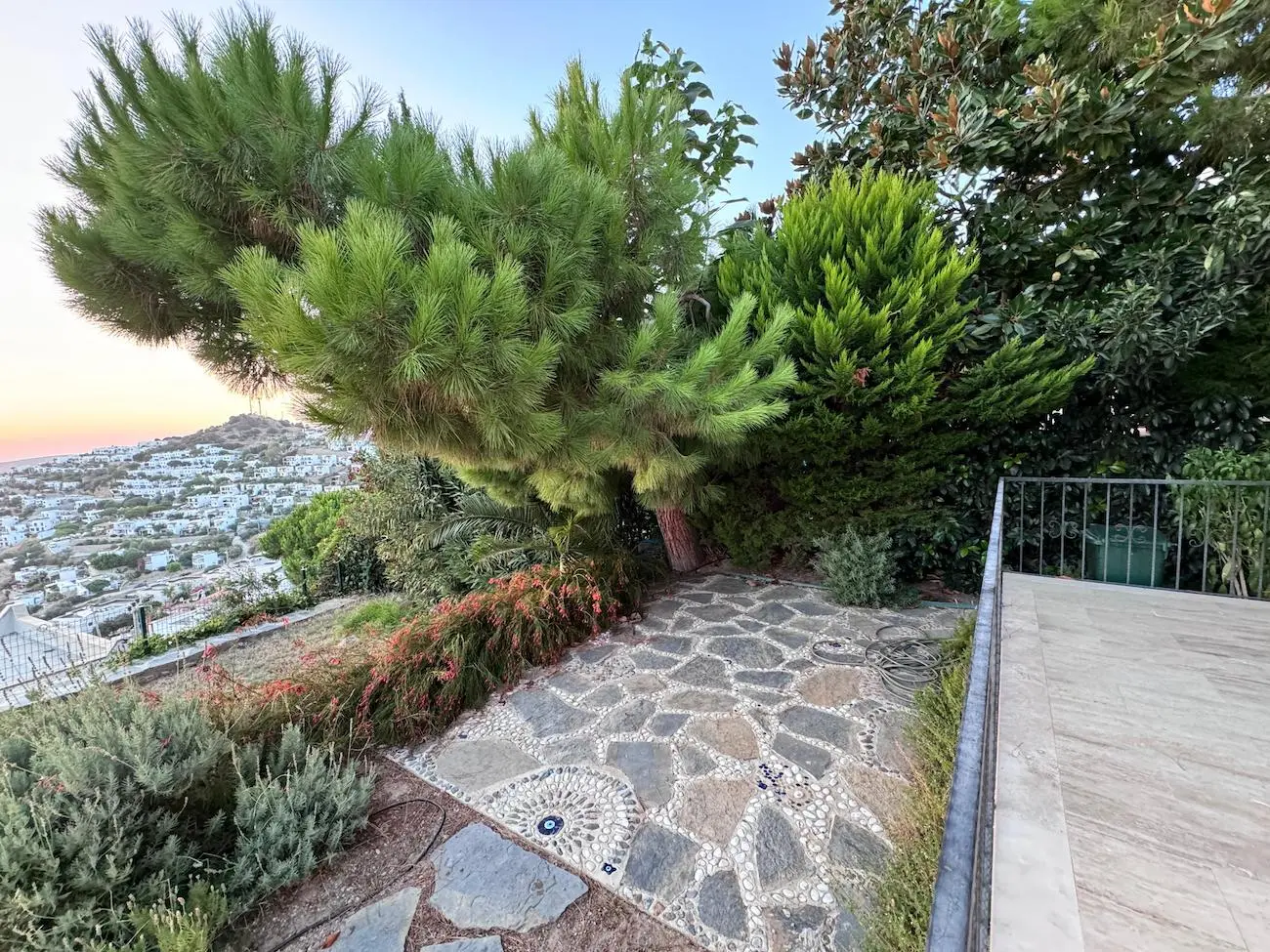 Mature garden